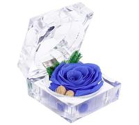 SOLUSTRE 1pièce Boîte à Bijoux Coffret Décoratif avec Préservées pour Rangement De Bijoux Et Occasions Spéciales
