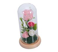 SOLUSTRE 1pièce Bouquet De Roses Artificielles avec Éclairage LED sous Verre Lampe De Décoration pour Saint-Valentin Ambiance Romantique Et avec Fleurs Roses Pâles