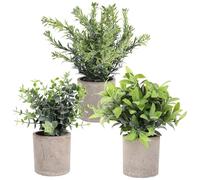 SOLUSTRE 3 pièces Faux Eucalyptus Bonsai Potted Plants Small Greenery Decor for Office and Home Space Saving Artificial Plants for Desk and Farmhouse Style