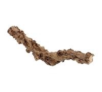SOLUSTRE Bois Naturel de Pommier pour Terrarium, Branche Résistante la Déformation, Décor Naturel pour Hamsters et Reptiles en Vivarium Humide