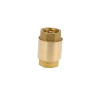 SOLUSTRE Clapet Retour Laiton pour Carburant Air Eau Gaz et Huile Raccord Inline Adapté Aux Applications Automobiles et Industrielles