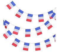 SOLUSTRE Guirlande Drapeau France Mini Bannière Décorative pour Fête à Thème Français Suspension pour Jardin Anniversaire et Événements
