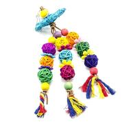 SOLUSTRE Jouet à Mordre pour Perroquets et Perruches 2pcs en Bois Balle en Rotin Suspendue Balançoire pour Oiseaux Explorateurs et Aventuriers