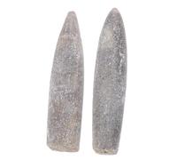 SOLUSTRE Lot de 2 Spécimens de Bélemnite Naturels pour Éducation Décoration Pédagogique Fossiles Accessoires de Géologie Taille Pratique pour Expérience d'Apprentissage