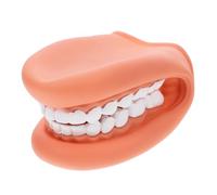 SOLUSTRE Modèle Éducatif Pour Apprentissage Du Brossage Des Dents Maquette De Bouche Pour Démonstration Et Enseignement Des Soins Bucco-dentaires Aux