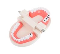 SOLUSTRE Modèle Éducatif pour Garçon Fille Pédagogique pour Apprendre Brossage des Dents Stimulation Motricité Fine et Coordination Main Œil