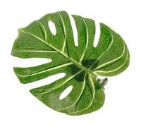 SOLUSTRE Rideaux Voilage en Plastique et Design Créatif pour Maintien Sécurisé Embrases Forme Feuille de Monstera Salons Chambres
