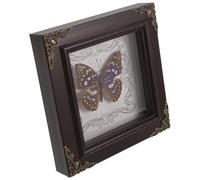 SOLUSTRE Véritable Encadré Fait À La Main Cadre En Bois Boîte D'ombre Insectes Séchés Affichage De Spécimen Art Mural De Table Suspendu Décoration Œuvre D'art Pour Le Bureau À