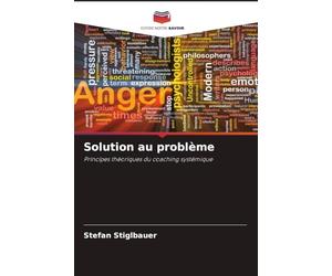 Solution au problème: Principes théoriques du coaching systémique