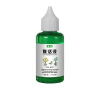 Solution Nutritive Pour - Liquide De Résurrection Pour, 50 Ml D'engrais Pour En Plein Air, Concentré Liquide Fertilisant, Favorise Une Croissance Robuste, Engrais Pour Fleurs