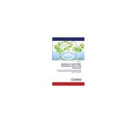 Solvency Ii And Ifrs4. Chasing Of Risks In Life Insurance