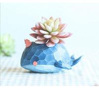 Somarke - Pots à plantes grasses en forme d’animaux mignons de dessins animés - Décoration de maison Baleine