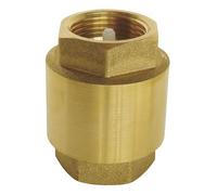 SOMATHERM FOR YOU, Clapet de retenue universel Double Femelle 3/8" en laiton et plastique, montage toutes positions, pour eau, air et mazout, pression max 12 bars, température 110°C