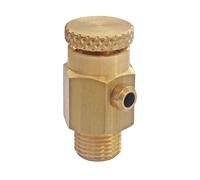 SOMATHERM FOR YOU, Purgeur d'air mâle 1/4" (8/13) en laiton brut avec molette, facile à installer, évacue l'air des radiateurs pour une circulation optimale et un chauffage efficace