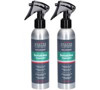 Somatoline Cosmetic® HOMME Ventre et Abdomen - Cryo Spray Liquide 2x200 ml