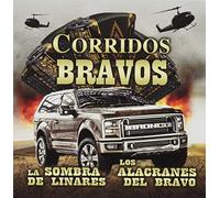 Sombra De Linares & Alacranes Del Bravo - Corridos Bravos