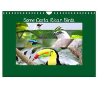 Some Costa Rican Birds (Wall Calendar 2026 DIN A4 landscape), CALVENDO 12 Month Wall Calendar: Enjoy a little of the great biodiversity you can find in Costa Rica