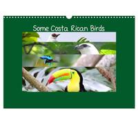 Some Costa Rican Birds (Wall Calendar 2027 DIN A3 landscape), CALVENDO 12 Month Wall Calendar: Enjoy a little of the great biodiversity you can find in Costa Rica