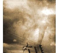 Some Day This Could.. 1