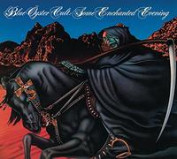 Some Enchanted Evening - Dutch Import