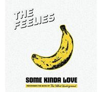 Some Kinda Love : Performing the Music of Velvet Underground