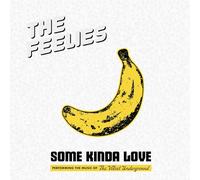 Some Kinda Love : Performing The Music Of The Velvet Underground The Feelies (Interprète) https://www.fnac.com/a18500887/The-Feelies-Some-Kinda-Love-Performing-The-Music-Of-The-Velvet-Underground-Vinyle-album?oref=6f2501b8-5f31-8b3b-5c26-13b5d071f8dd
