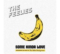 Some Kinda Love : Performing The Music Of The Velvet Underground The Feelies (Interprète) https://www.fnac.com/a18500887/The-Feelies-Some-Kinda-Love-Performing-The-Music-Of-The-Velvet-Underground-Vinyle-album?oref=6f2501b8-5f31-8b3b-5c26-13b5d071f8dd