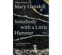Somebody with a Little Hammer: Essays