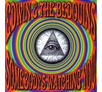 Somebody's Watching You