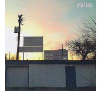 Someday Everything Will Be Fine/Coupon MP3 Inclus