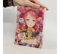 Someday I'll Fall Asleep 2