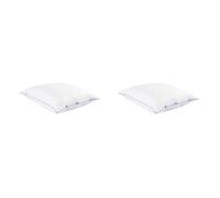 Lot de 2 oreillers moelleux/ferme duvet de canard anti-allergènes Someo 65x65
