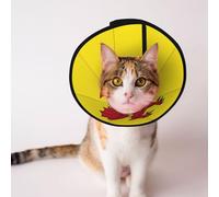 Somerset Collier conique souple pour chien avec drapeau du comté de Depets - Collier de récupération réglable pour chats, chatons, lapins, collier élisabéthain confortable