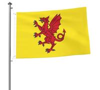 Somerset Drapeau du comté de 5,1 x 7,6 cm Drapeau double face - Bannière d'extérieur robuste et décorative, idéale pour le jardin, la chambre et la décoration de fête
