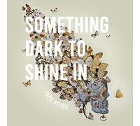 Something Dark to Shine In