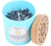 Something Different - Bougie parfumée "Pisces", Gardénia SD5611 (Taille unique) (Bleu/Brun)