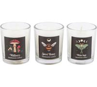 Something Different - Bougies votives "Dark Forest", trio de 3 SD6802 (taille unique) (Blanc/Noir)