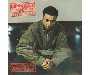 Something Different/The Train is Coming (1995/96) [Import]