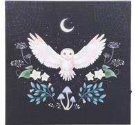 Something Different - Toile lumineuse "Night Owl" SD6433 (Taille unique) (Coloré)