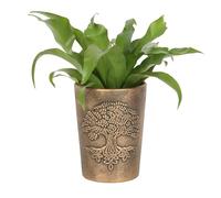 Something Different Wholesale LisaParker Arbre de Vie Mystique Pot de Fleurs en Terre Cuite Symbole Spirituel Bronze Jardinière pour Croissance et Renaissance, Pot Effet Bronze Antique