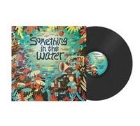 Various - Something in the Water