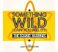 Something Wild (Feat. Julie Harrington) [Import]