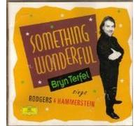Something Wonderful