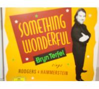 Something Wonderful : Bryn Terfel Sings Rodgers & Hammerstein English Northern Philh.