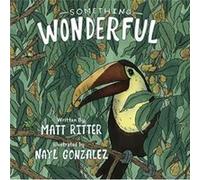 Something Wonderful by Matt Ritter Matt Ritter (Auteur)