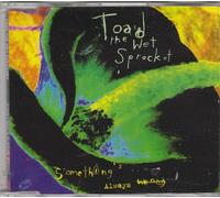 Something's Always Wrong (3 Tracks, 1994) [Import]
