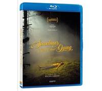 SOMETIMES I THINK ABOUT DYING-NL-BLURAY C