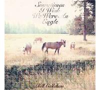 Sometimes I wish we were an eagle CD