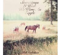 Sometimes I Wish We Were an Eagle