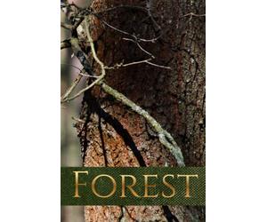 Somewhere at the End of the World…: A Journey Through Forests, Seasons, and Silence: A Journey Through Forests, Seasons, and Silence